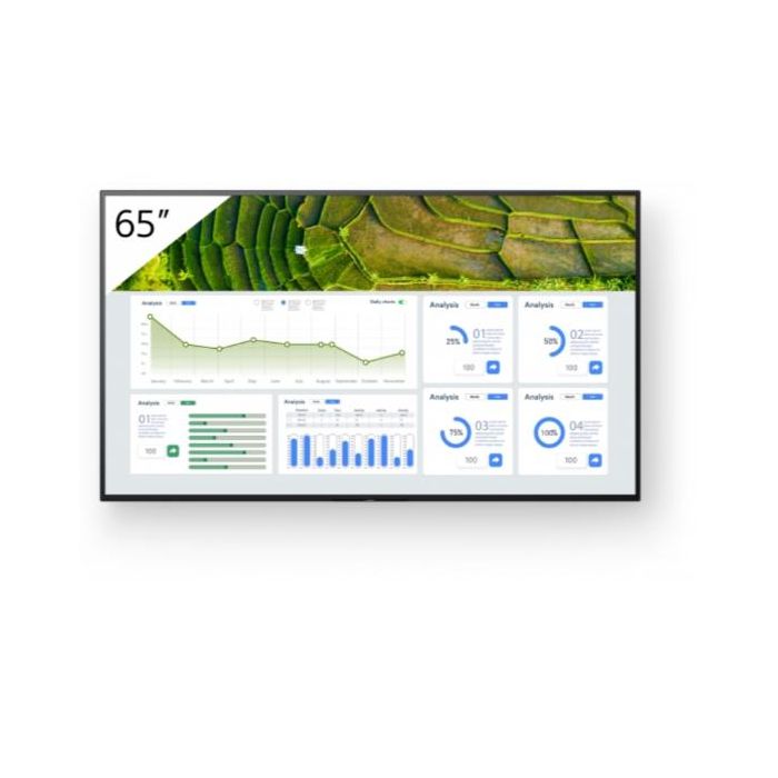 65  4K 24/7 PROFESSIONAL BRAVIA