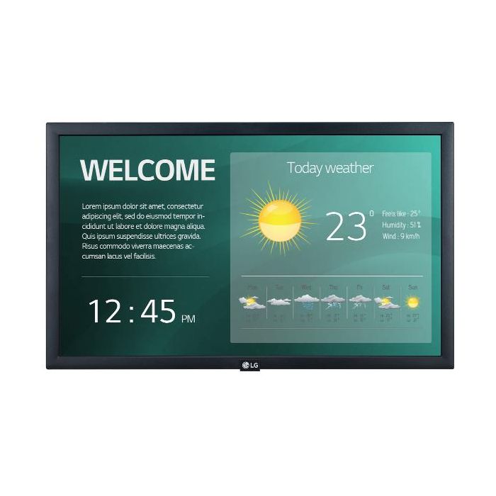 22 LED IPS 1920X1080 16:9 250