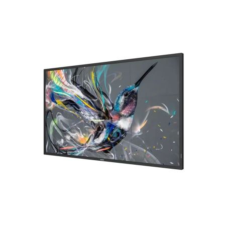 PHILIPS Q-Line / Pantalla multimedia independiente - 43" UHD