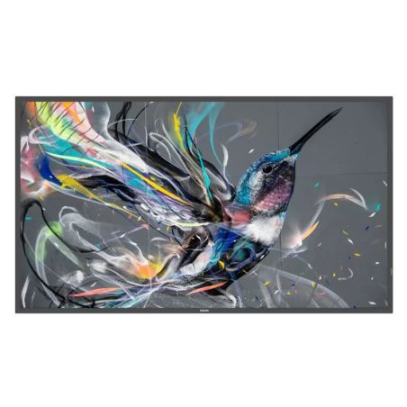 PHILIPS Q-Line / Standalone Multimedia Display - 50" UHD