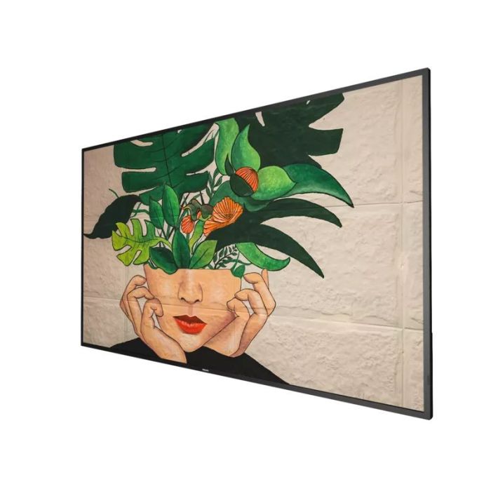 PHILIPS D-Line / Pantalla multimedia independiente - 65" UHD