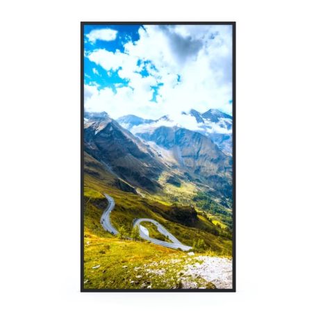 Hisense 49-inch Window Facing - High Brightness Display