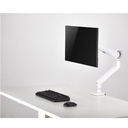 17 -35  PREMIUM MONITOR DESK MOUNT