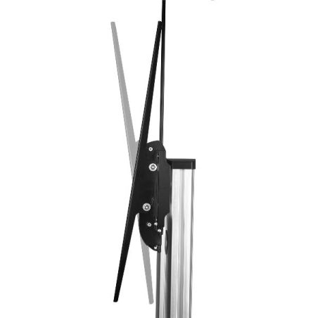 ULTRA-LARGE TELESCOPIC DISPLAY TV