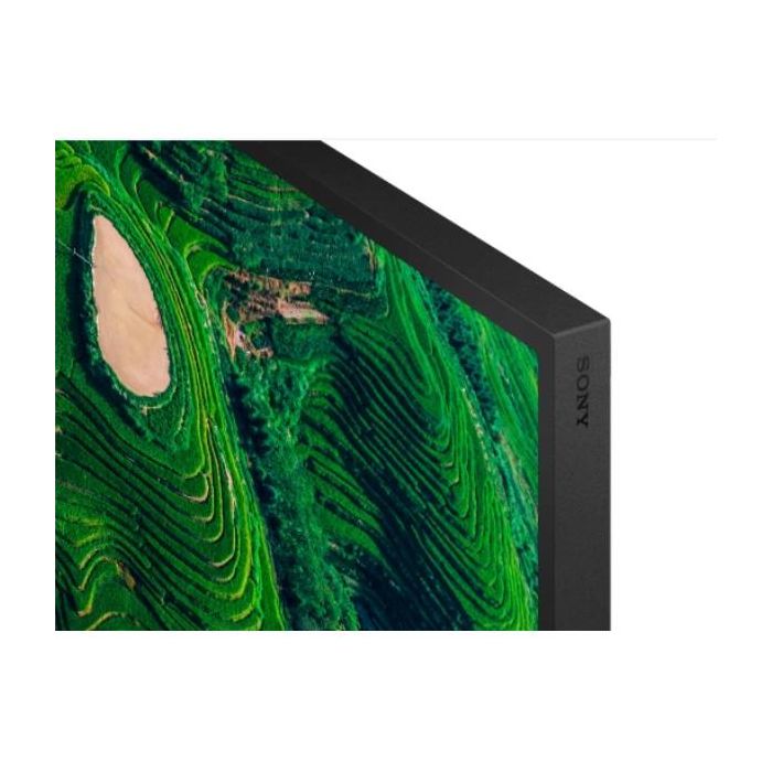 55  PRO BRAVIA 500NIT DBNG 24/7