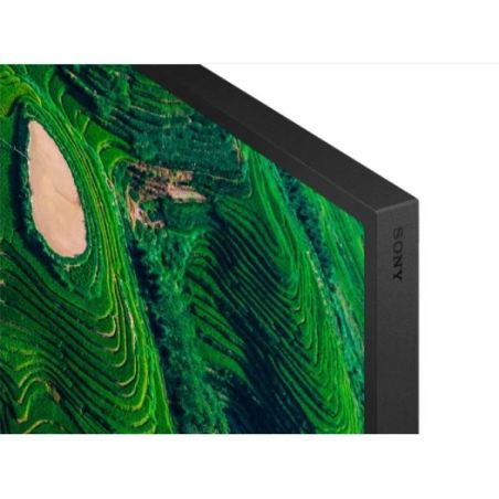 55  PRO BRAVIA 500NIT DBNG 24/7