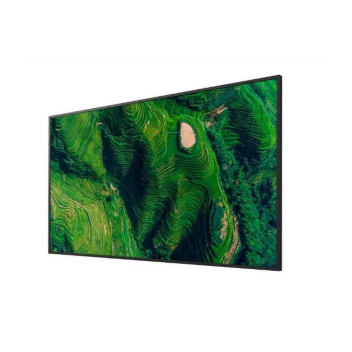 55  PRO BRAVIA 500NIT DBNG 24/7