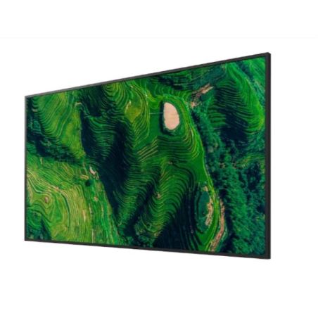 55  PRO BRAVIA 500NIT DBNG 24/7