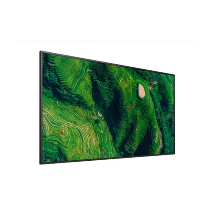 55  PRO BRAVIA 500NIT DBNG 24/7