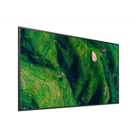 55  PRO BRAVIA 500NIT DBNG 24/7