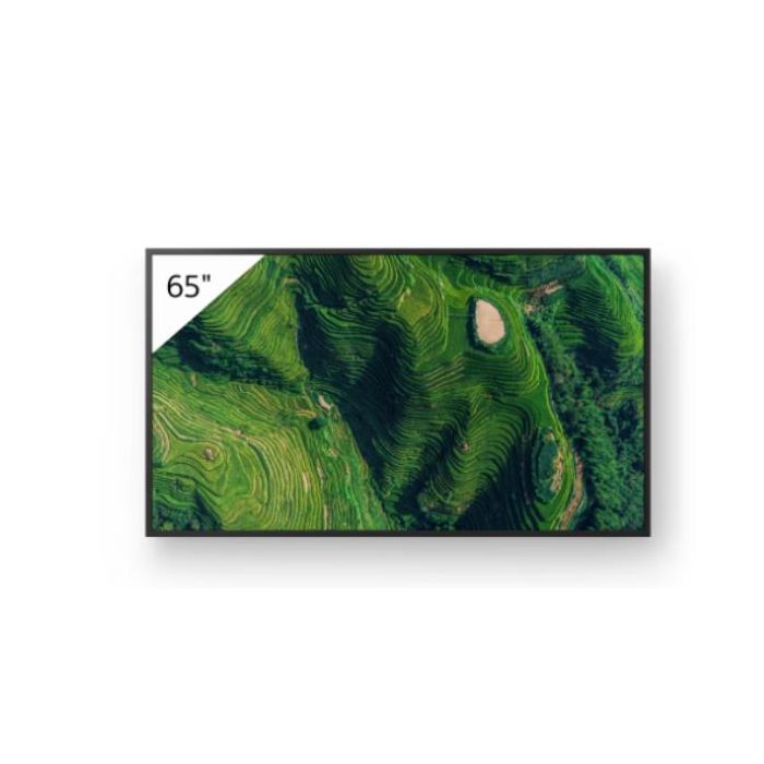 65  PRO BRAVIA 500NIT DBNG 24/7