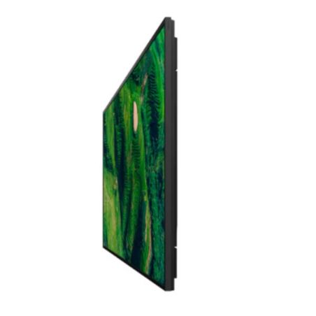 65  PRO BRAVIA 500NIT DBNG 24/7