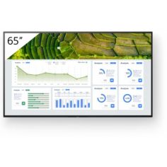 65  4K 24/7 PROFESSIONAL BRAVIA 2