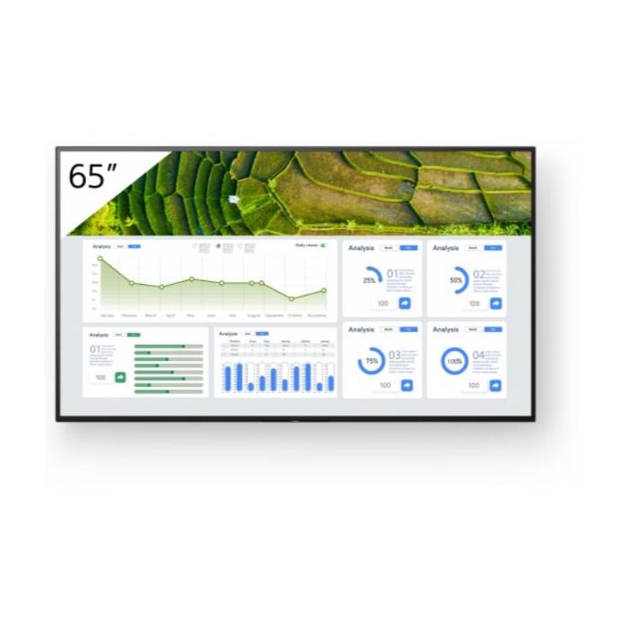 65  4K 24/7 PROFESSIONAL BRAVIA