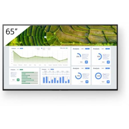 65  4K 24/7 PROFESSIONAL BRAVIA