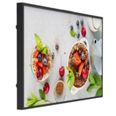 MONITOR 55 3000 NIT ALTA LUM INDOOR 2