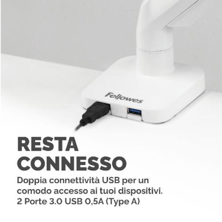 BRACCIO MONITOR SINGOLO PLATINUM