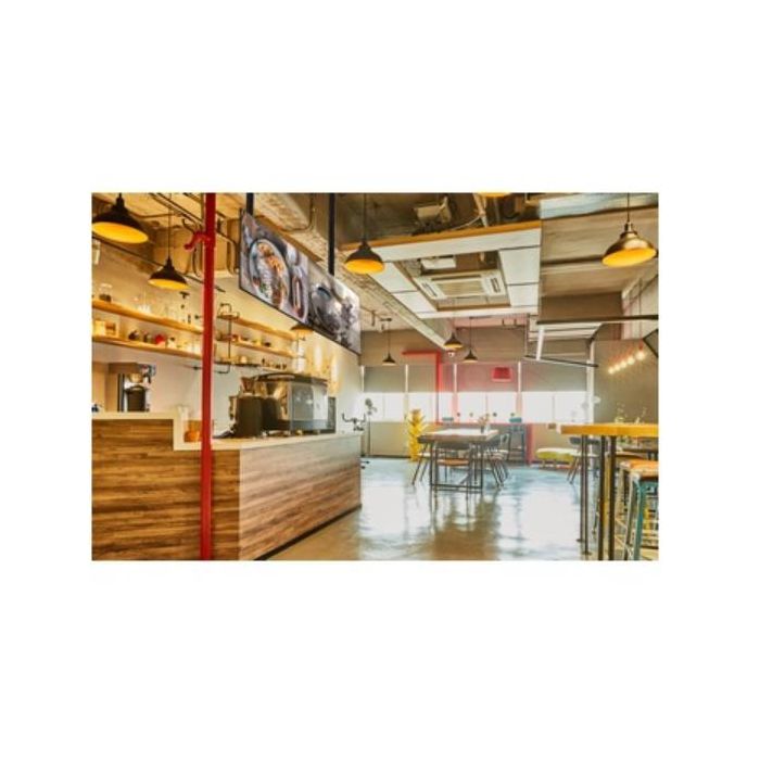 45 -55  DUAL SCREEN CEILING MOUNTL