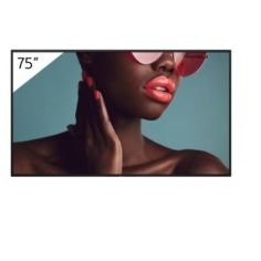 75  4K 24/7 PROFESSIONAL BRAVIA 2