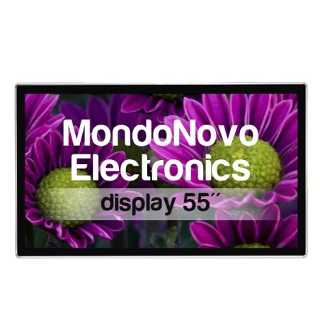 Wall Mount Display 55"