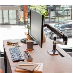 LX DESK MOUNT LCD ARM 2