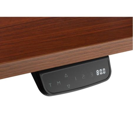 ERGO ELECTRIC SIT-STAND DESK FRAME