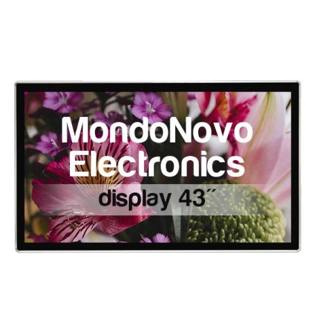 Wall Mount Display 43"