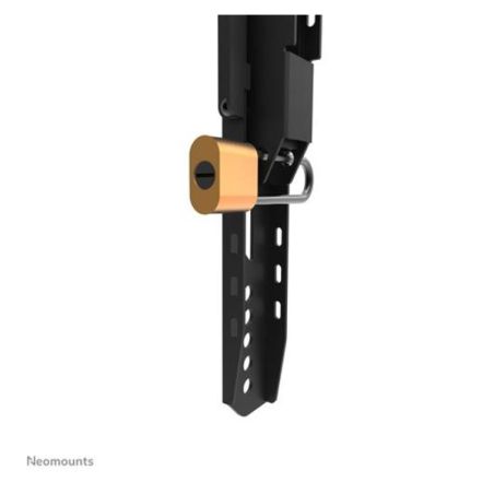 SUPPORTO A PARETE WL30-750BL16
