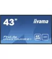 iiyama 43" Professional Digital Signage display - PROLITE LH4370UHB-B1