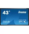 iiyama 43" - Display Touchscreen Professionale, 24/7 - PROLITE T4362AS-B1
